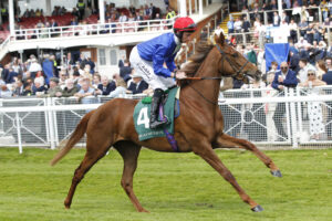 20J8512 Forest Fairy