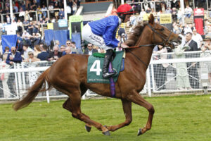 20J8515 Forest Fairy