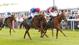 20J8548 Forest Fairy