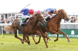 20J8551 Forest Fairy