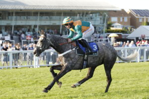 20J9230 Village Master