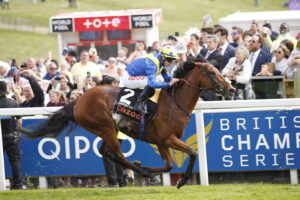 20J9245 Desert Crown