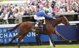 20J9247 Desert Crown