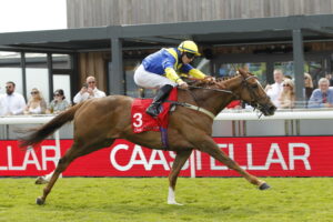 20J9404 Percy’s Lad