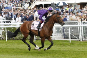 20J9455 Mr Hampstead