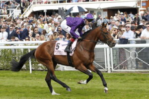 20J9456 Mr Hampstead