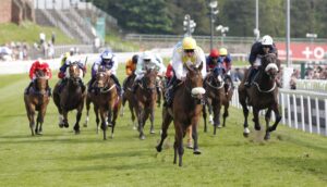 20J9810 Alphonse Le Grande