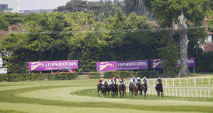 20J9921 Leopardstown field