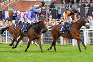 240503 0292 Baldomero