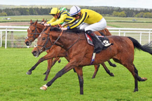 240503 0414 Lavender Hill Mob