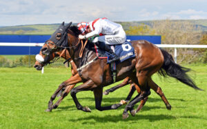 240504 0156 Royal Dress