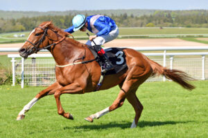 240504 0296 Gather Ye Rosebuds