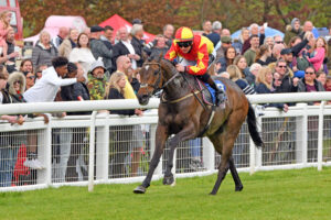 240505 0332 Warranty