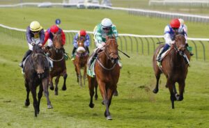 78F0492 Woodhay Wonder