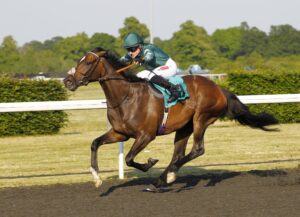 78F0992 Merlin The Wizard