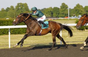 78F0993 Merlin The Wizard