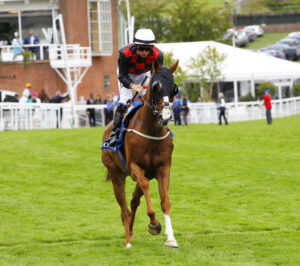 78F1884 The Wizard Of Eye