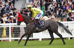 78F3015 Beautiful Diamond