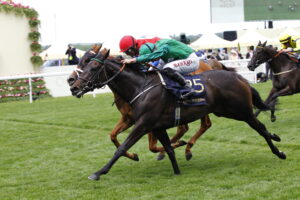 78F3044 Relief Rally