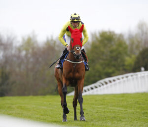 78F3107 Arabic Legend