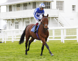 78F3144 Bellum Justum