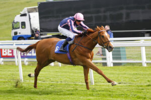 78F3300 Crystal Delight