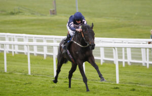 78F3429 Champagne Piaff