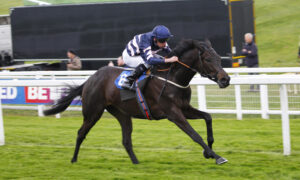 78F3436 Champagne Piaff