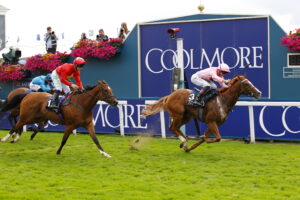 78F3802 Live In The Dream