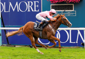 78F3803 Live In The Dream