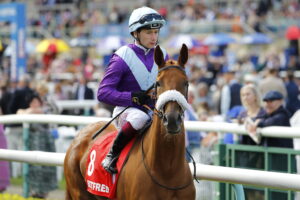 78F5698 See The Fire