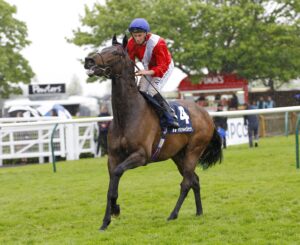 78F6600 Twilight Calls