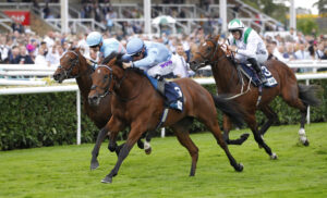 78F6812 God’s Window