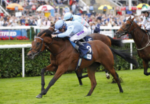 78F6816 God’s Window