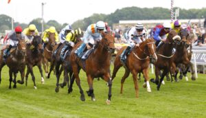 78F7616 Clarendon House