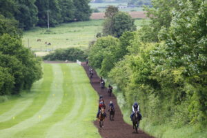 78F8085 Ralph Beckett gallops