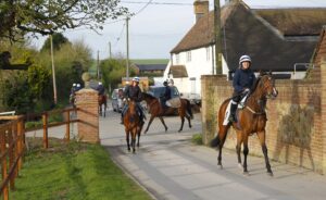 78F8335 Archie Watson string