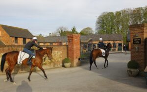 78F8337 Archie Watson string