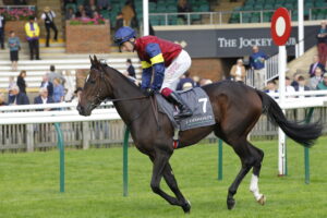 78F8712 Porta Fortuna