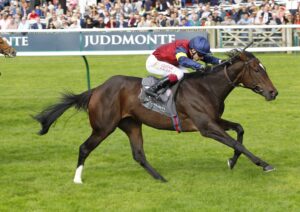 78F8786 Porta Fortuna