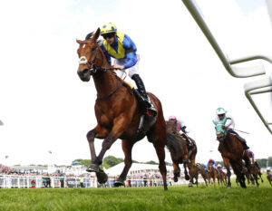 78F8959 Desert Crown