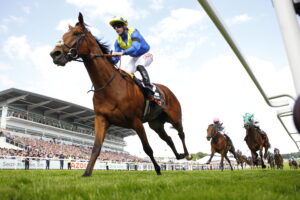 78F8960 Desert Crown