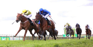 BK1A9182 Pretty Crystal