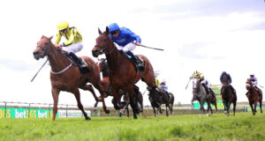 BK1A9183 Pretty Crystal