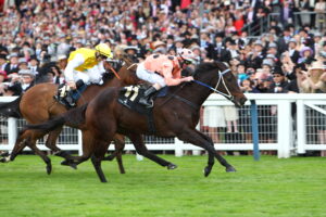 C16B0312 Black Caviar