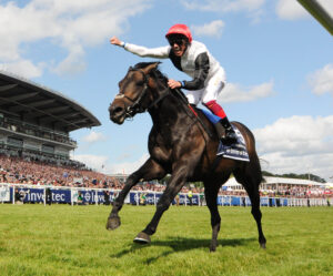 DSC 5977 Golden Horn