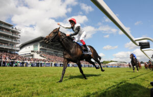 DSC 5978 Golden Horn