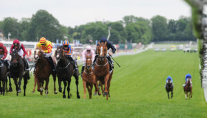 DSC 8289 Ruler of the World