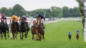 DSC 8290 Ruler of the World