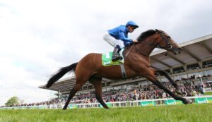 EN4D3080 Arabian Crown